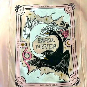 Brand new with tags - Netflix The School for Good and Evil shirt- Hot topic